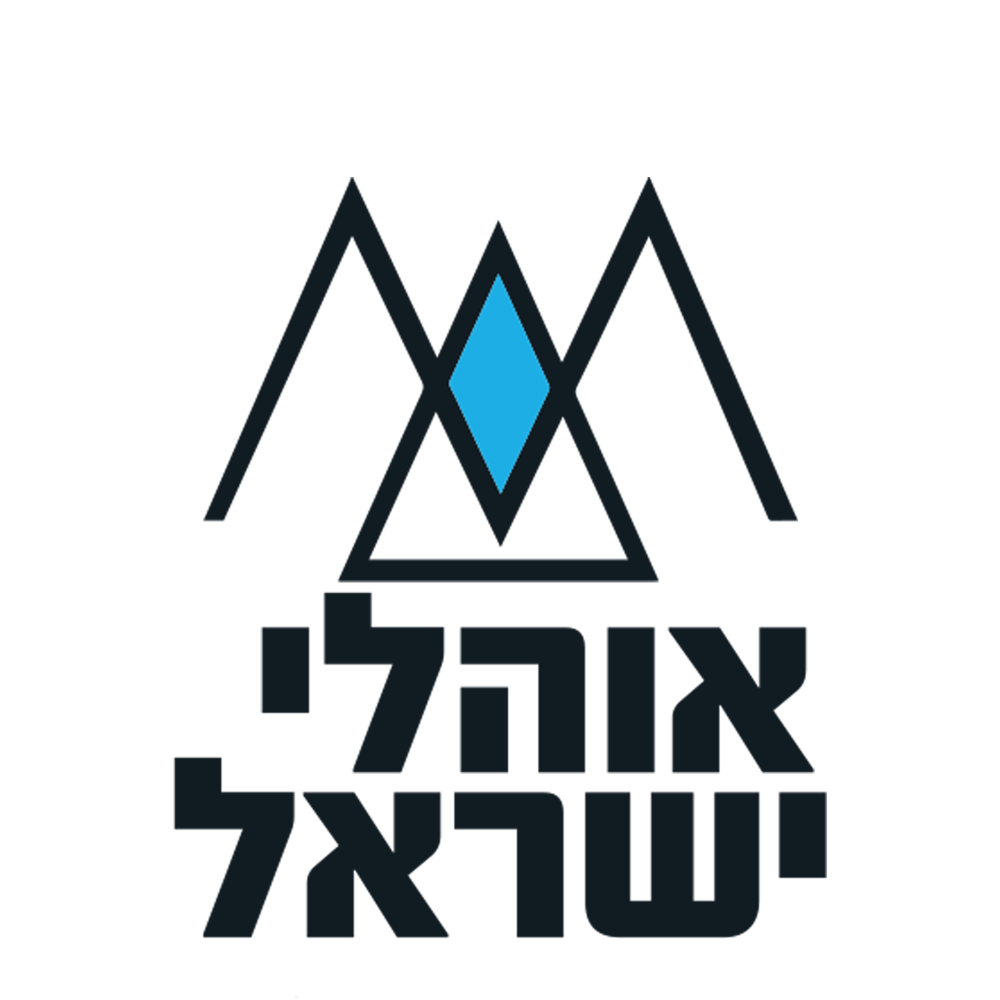 רוני גליצה ליטמנוביץ' - מנכ״לית אוהלי ישראל בעמ